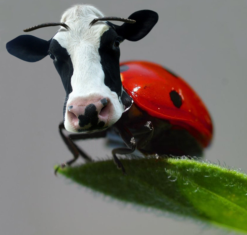 Photoshop Design by paulmetadger for DesignCrowd (Community Contests) | Design #9049261