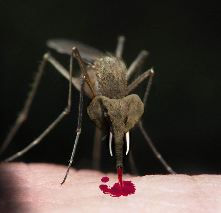 Photoshop Design by ozlemarc for DesignCrowd (Community Contests) | Design #9049318