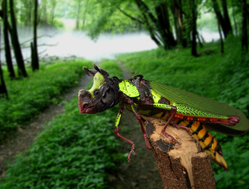 Photoshop Design by DennisL for DesignCrowd (Community Contests) | Design #9049272