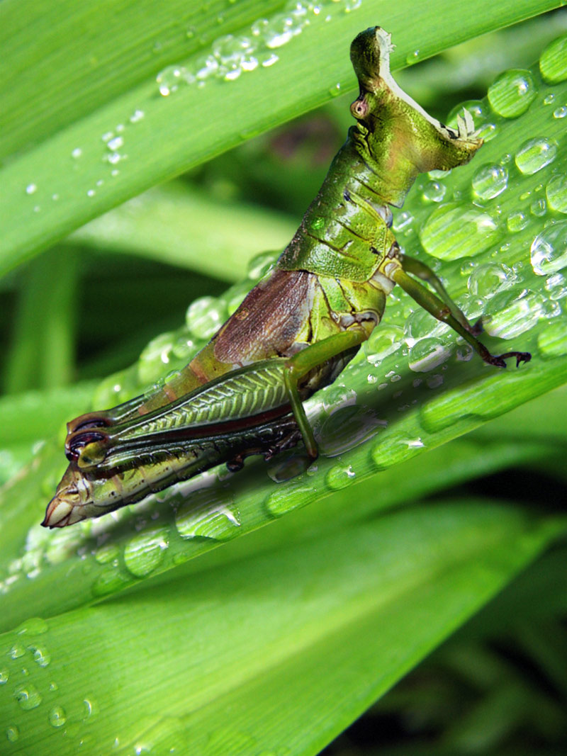 Photoshop Design by CharlesFBI for DesignCrowd (Community Contests) | Design #9049280