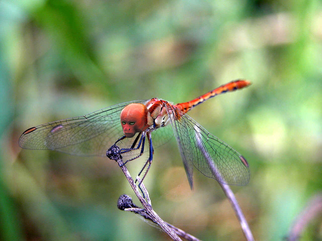 Design Photoshop par siennablue pour DesignCrowd (Community Contests) | Design #9049238