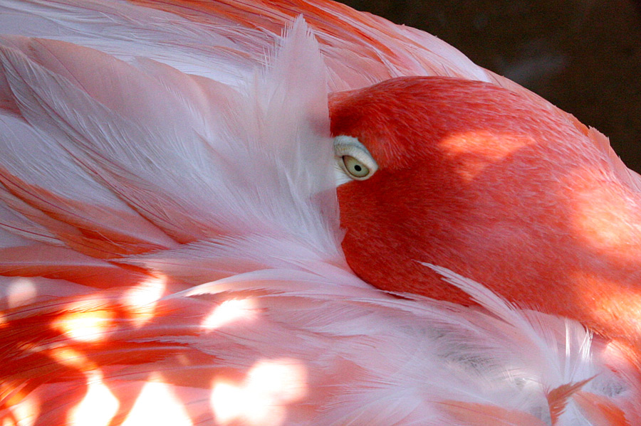 Photography by drogers for DesignCrowd (Community Contests) | Design #9044455