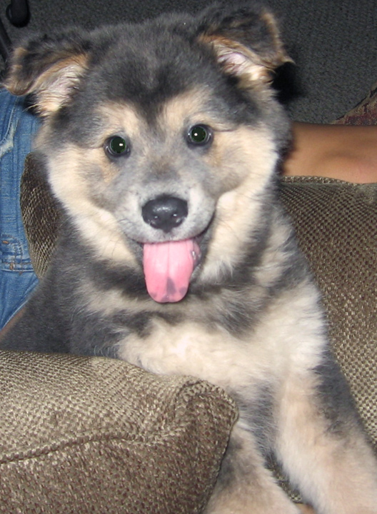 Photography by boudeccea for DesignCrowd (Community Contests) | Design #9044446