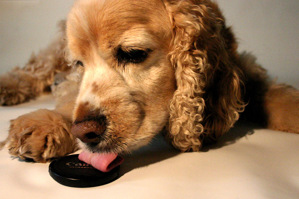 Photography by DoubleDizzle for DesignCrowd (Community Contests) | Design #9040843