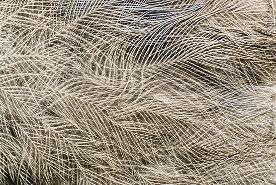 Photography by Joanne25 for DesignCrowd (Community Contests) | Design #9044507