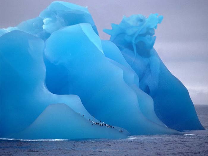 Photoshop-Design von DoctorTweek für DesignCrowd (Community Contests) | Design #9049752