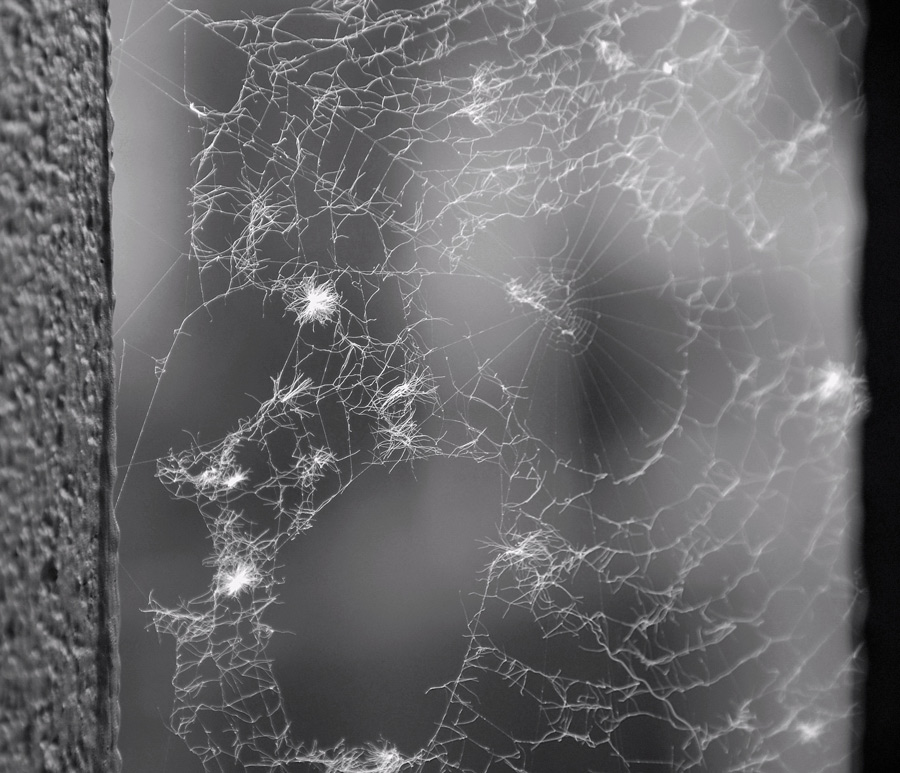 Photography by Guerrin for DesignCrowd (Community Contests) | Design #9044516