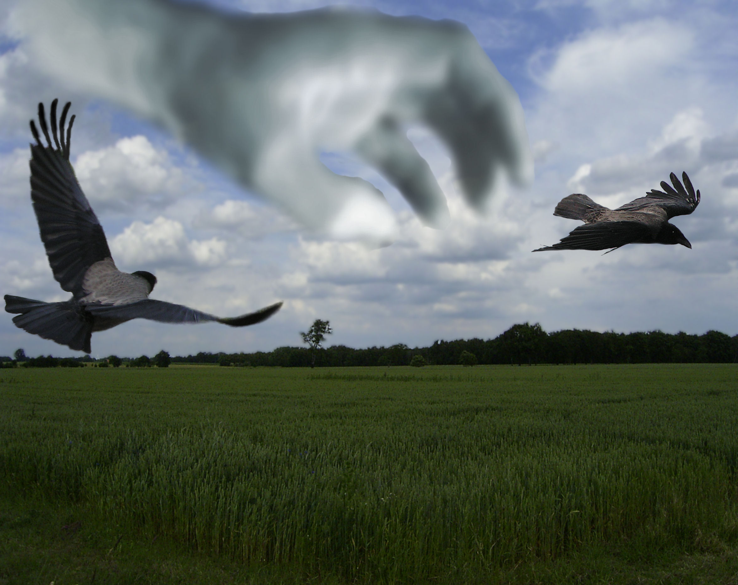 Photoshop-Design von ebvbaer für DesignCrowd (Community Contests) | Design #9049877