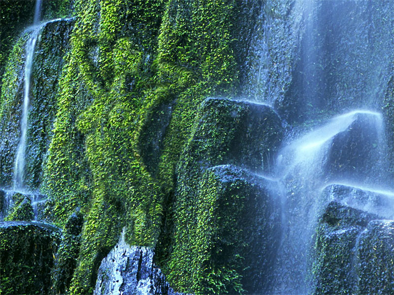 Diseño de Photoshop por etherwarrior para DesignCrowd (Community Contests) | Diseño #9049902