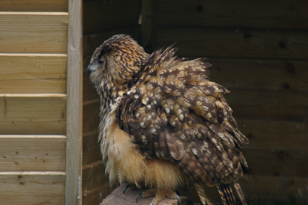 Fotografie von RtBlanx für DesignCrowd (Community Contests) | Design #9044501