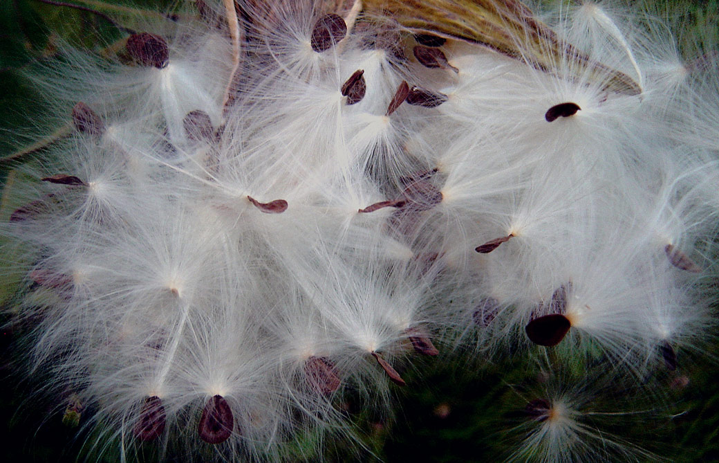 Photography by tigercrosse for DesignCrowd (Community Contests) | Design #9044478
