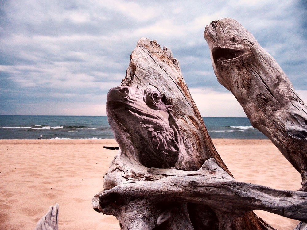 Photoshop Design by Bigwater for DesignCrowd (Community Contests) | Design #9049957