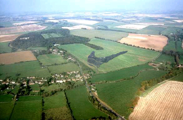 Photoshop Design by thatguyice for DesignCrowd (Community Contests) | Design #9050084