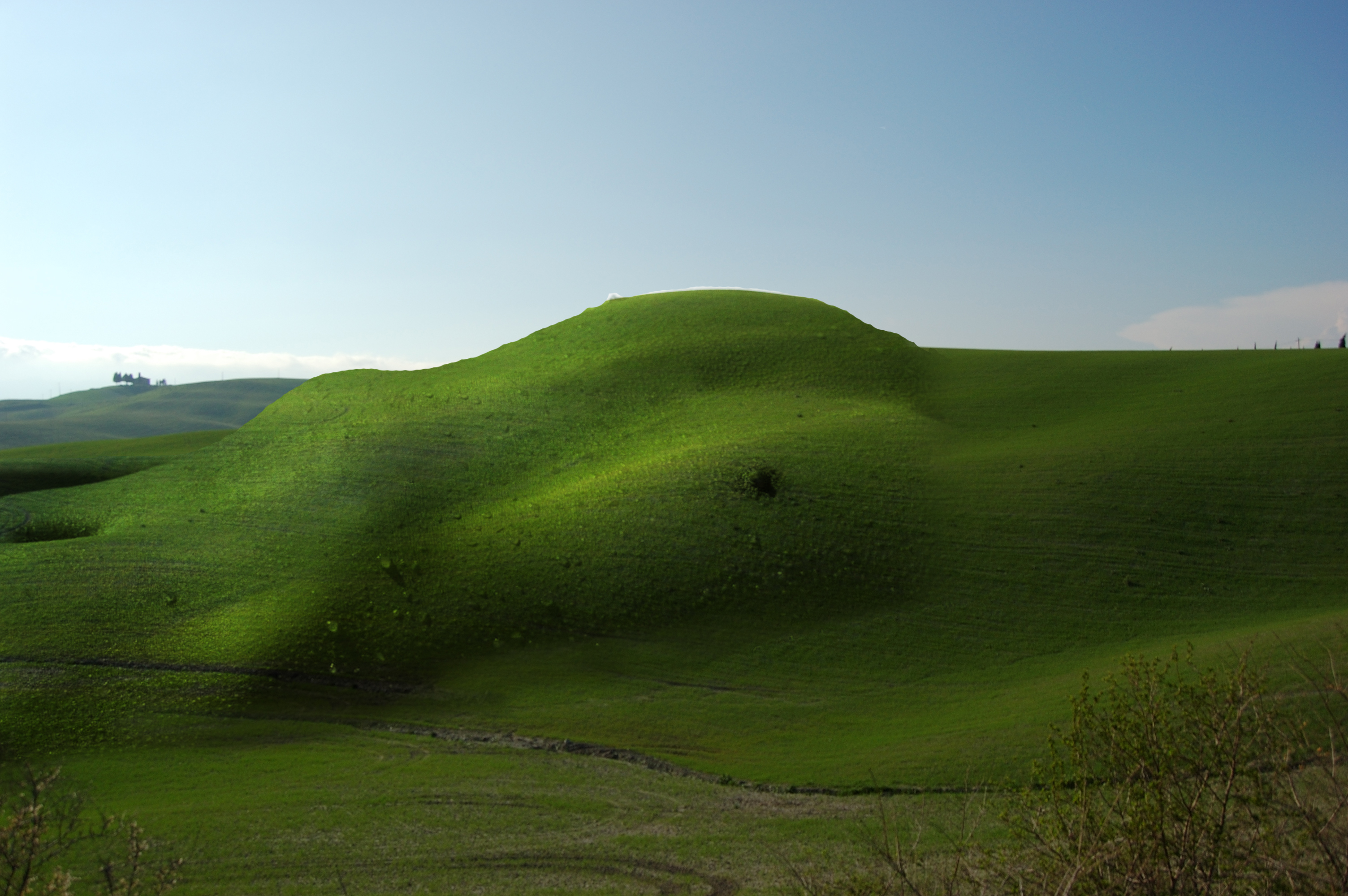 Design Photoshop par Liarena pour DesignCrowd (Community Contests) | Design #9050000