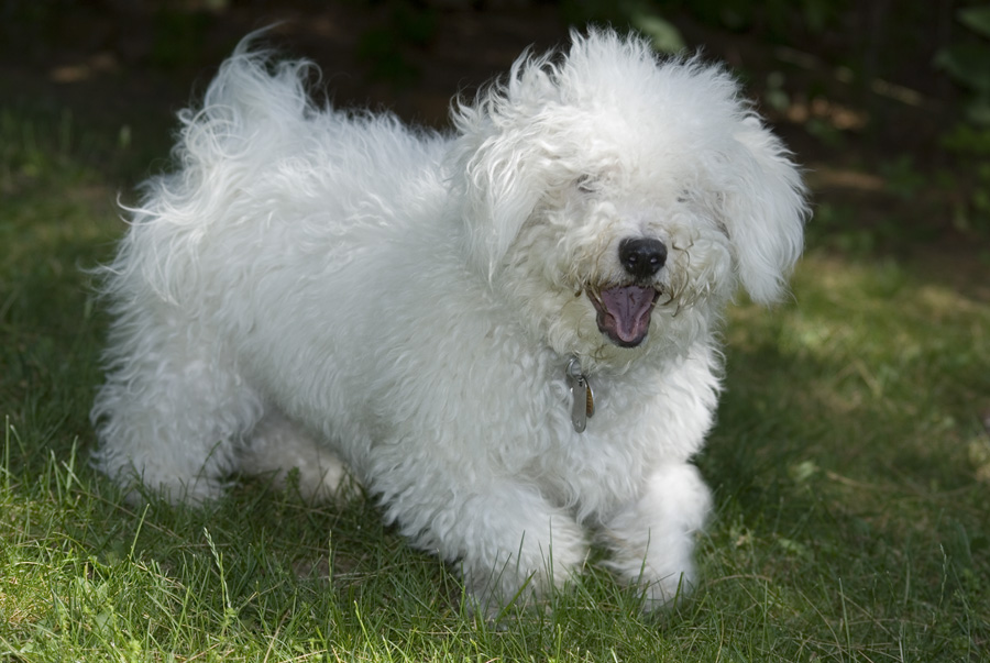 Photography by Joanne25 for DesignCrowd (Community Contests) | Design #9040934