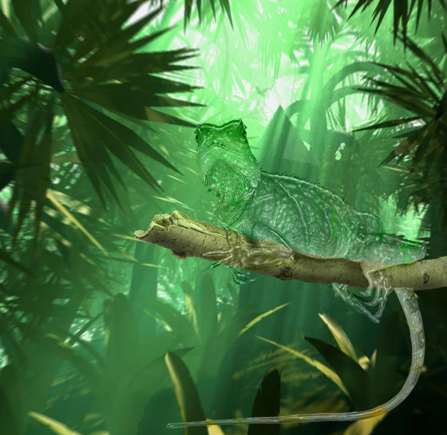 Design Photoshop par westsidecreations pour DesignCrowd (Community Contests) | Design #9035097