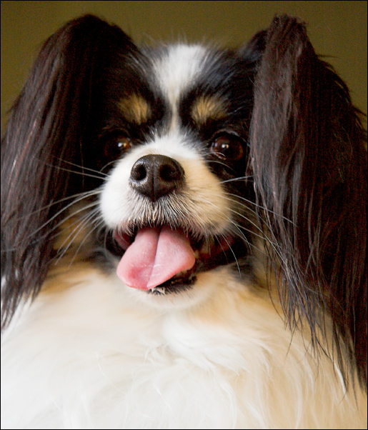 Fotografía por kimbomac para DesignCrowd (Community Contests) | Diseño #9041013