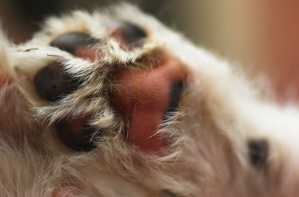 Photography by unit25 for DesignCrowd (Community Contests) | Design #9044484