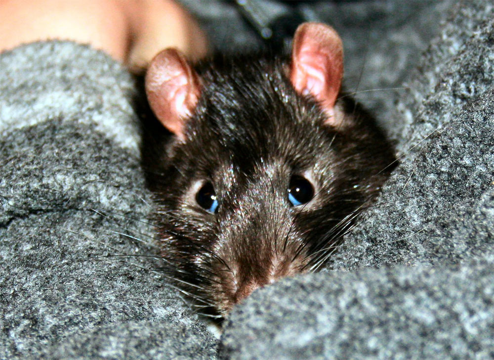 Photography by Maddyy for DesignCrowd (Community Contests) | Design #9044469