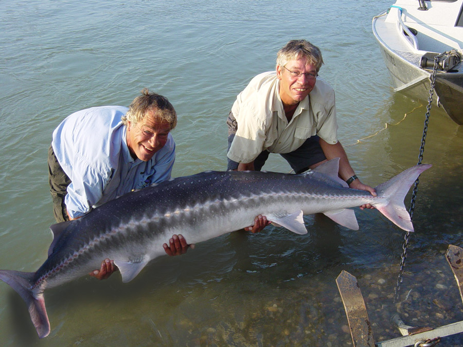 Photoshop-Design von Kekemes für DesignCrowd (Community Contests) | Design #9048793