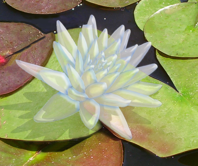 Photoshop Design by boudeccea for DesignCrowd (Community Contests) | Design #9035196