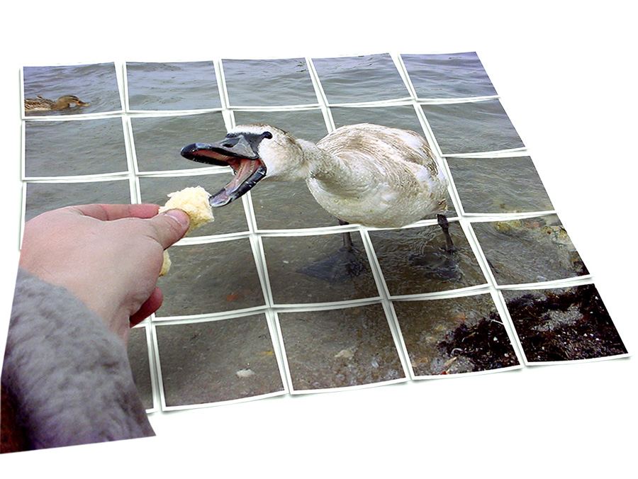 Photoshop Design by benchong for DesignCrowd (Community Contests) | Design #9047334