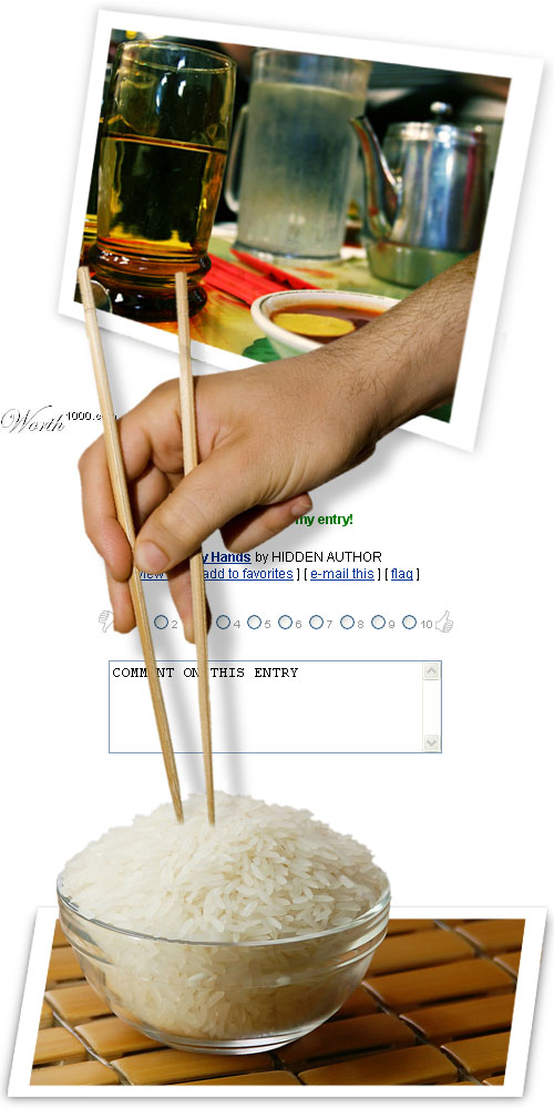 Photoshop Design by godzillatemple for DesignCrowd (Community Contests) | Design #9047285