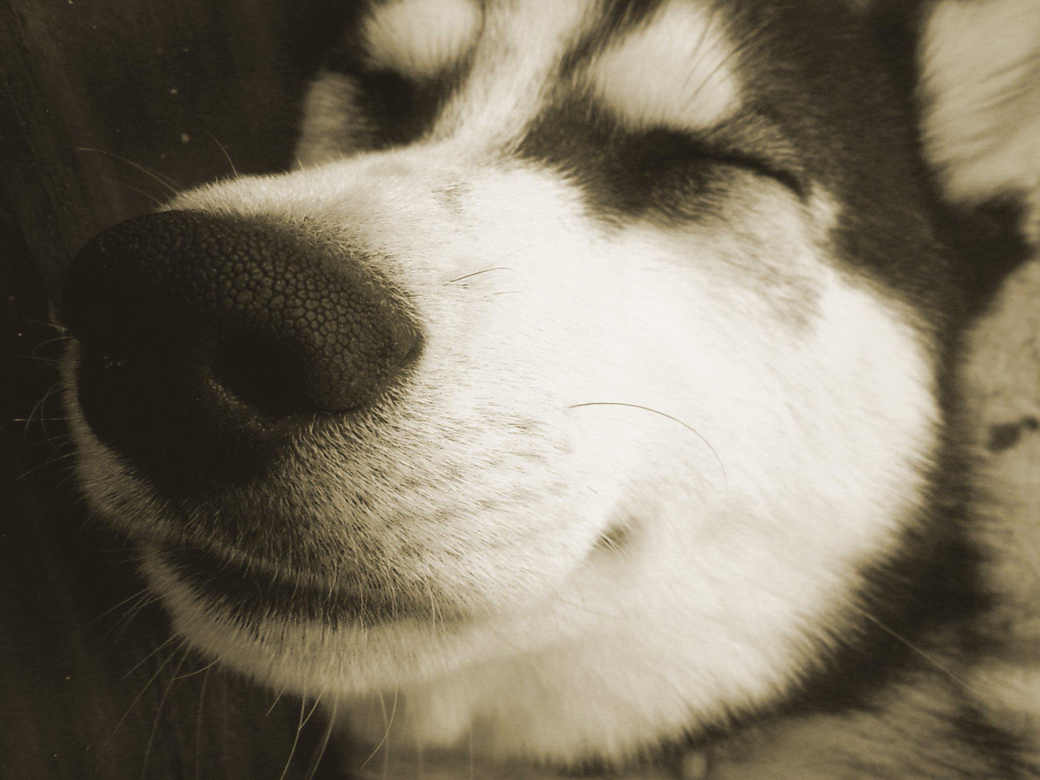 Fotografía por Destinyzkid para DesignCrowd (Community Contests) | Diseño #9041048