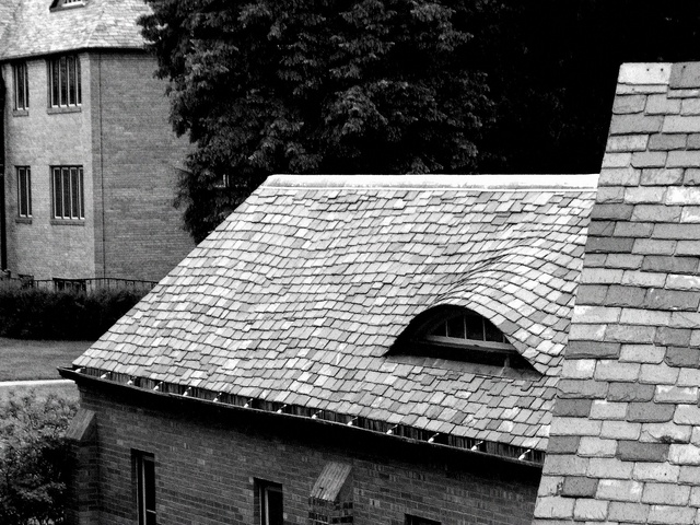 Photography by wendynicole for DesignCrowd (Community Contests) | Design #9050123