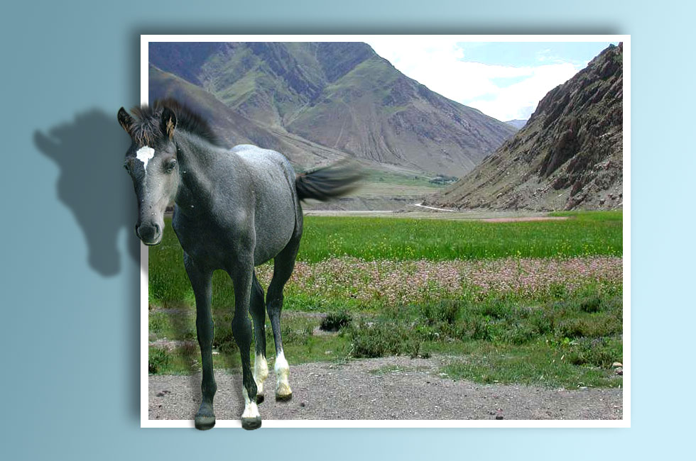 Photoshop Design by creativerajkumar for DesignCrowd (Community Contests) | Design #9047350