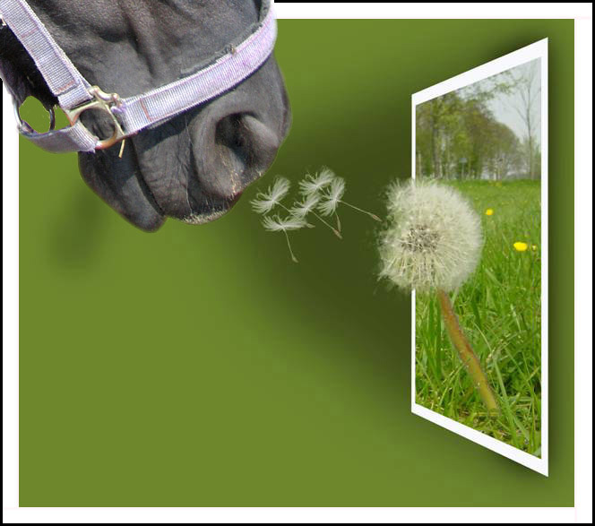 Photoshop Design by Jaap54 for DesignCrowd (Community Contests) | Design #9047315