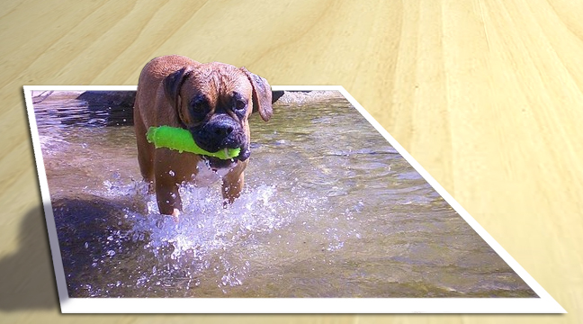 Photoshop Design by modgirlred for DesignCrowd (Community Contests) | Design #9047621