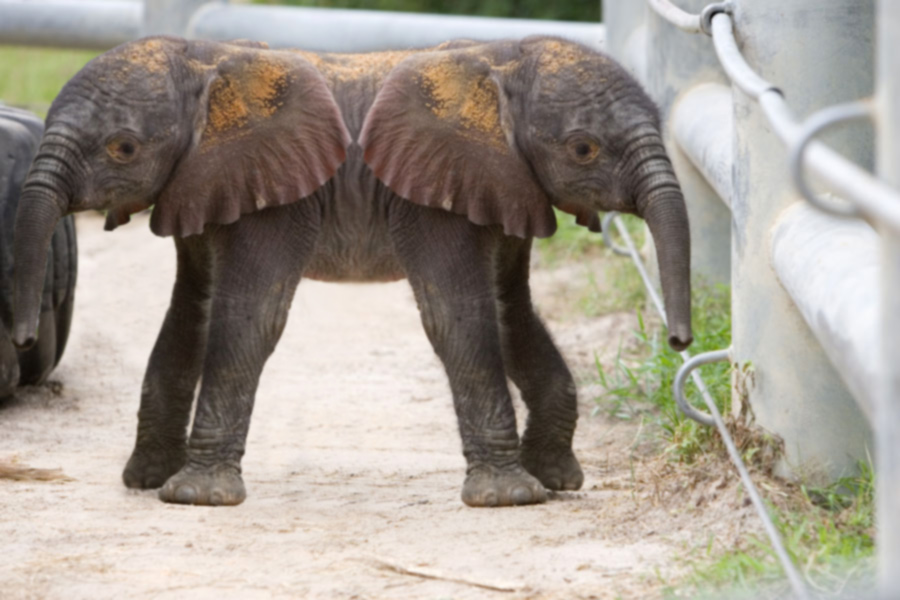 Photoshop Design by Reizvolle for DesignCrowd (Community Contests) | Design #9048954