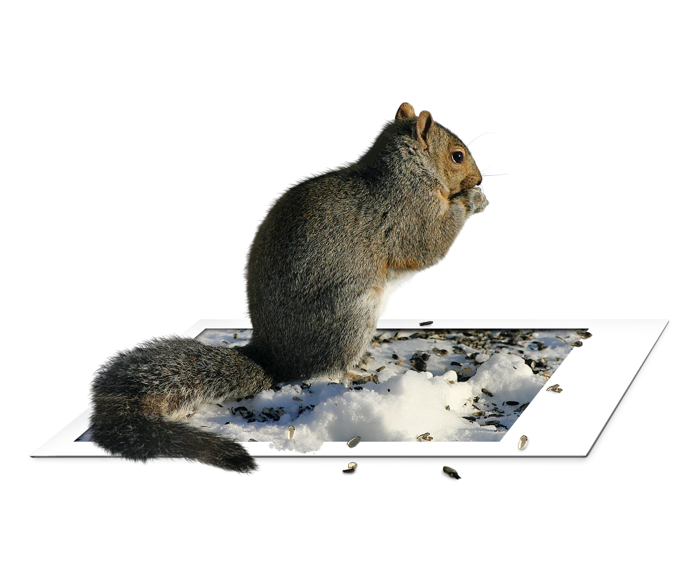 Photoshop-Design von TIOCHICO für DesignCrowd (Community Contests) | Design #9047410