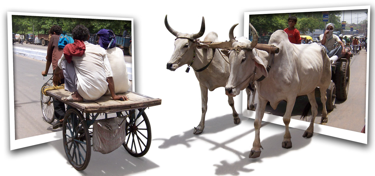 Photoshop Design by LightHawk for DesignCrowd (Community Contests) | Design #9047391