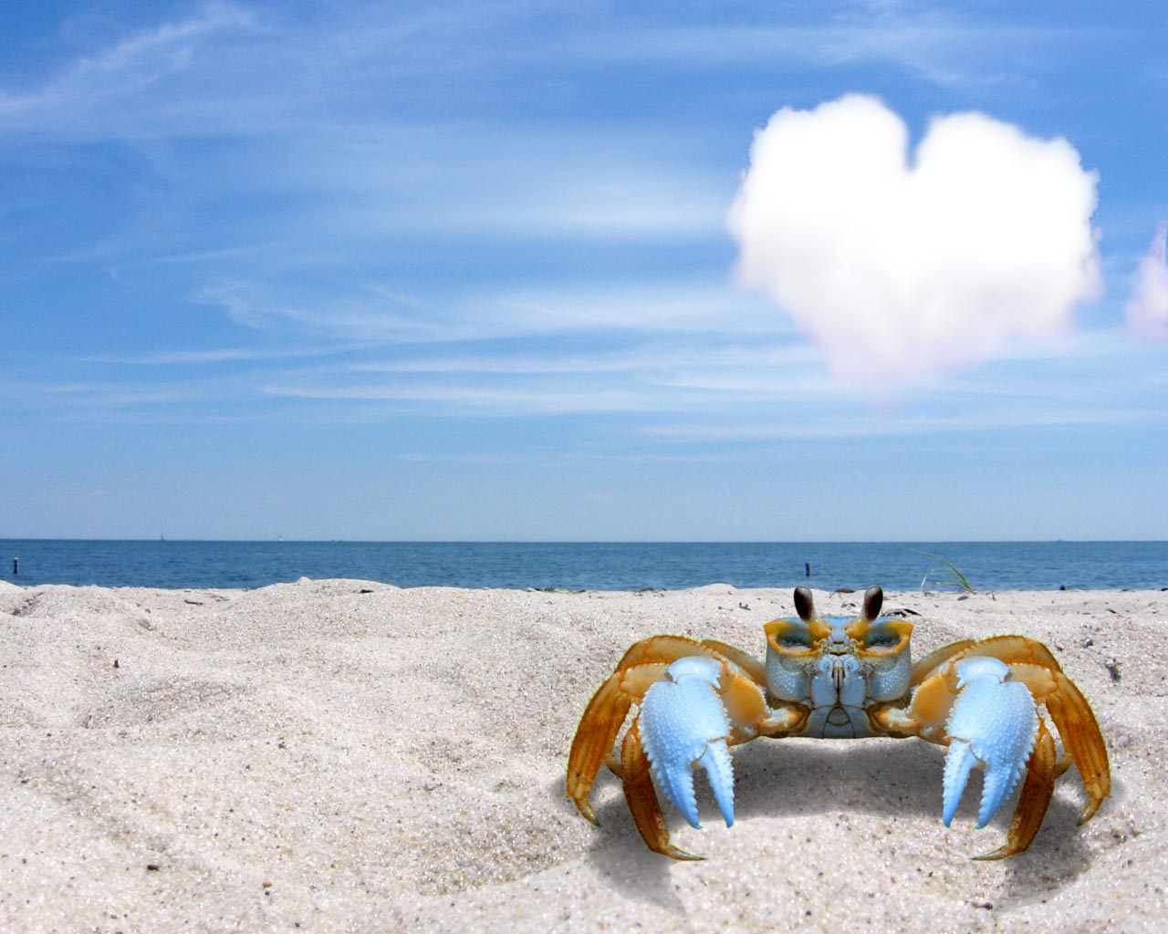 Photoshop Design by amyahya for DesignCrowd (Community Contests) | Design #9048957