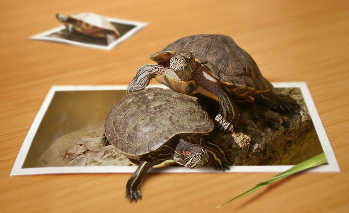 Photoshop Design by saufnase for DesignCrowd (Community Contests) | Design #9047405