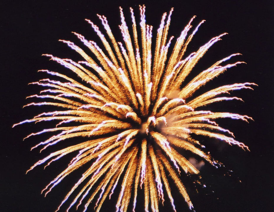 Fotografía por padoopie para DesignCrowd (Community Contests) | Diseño #9047778