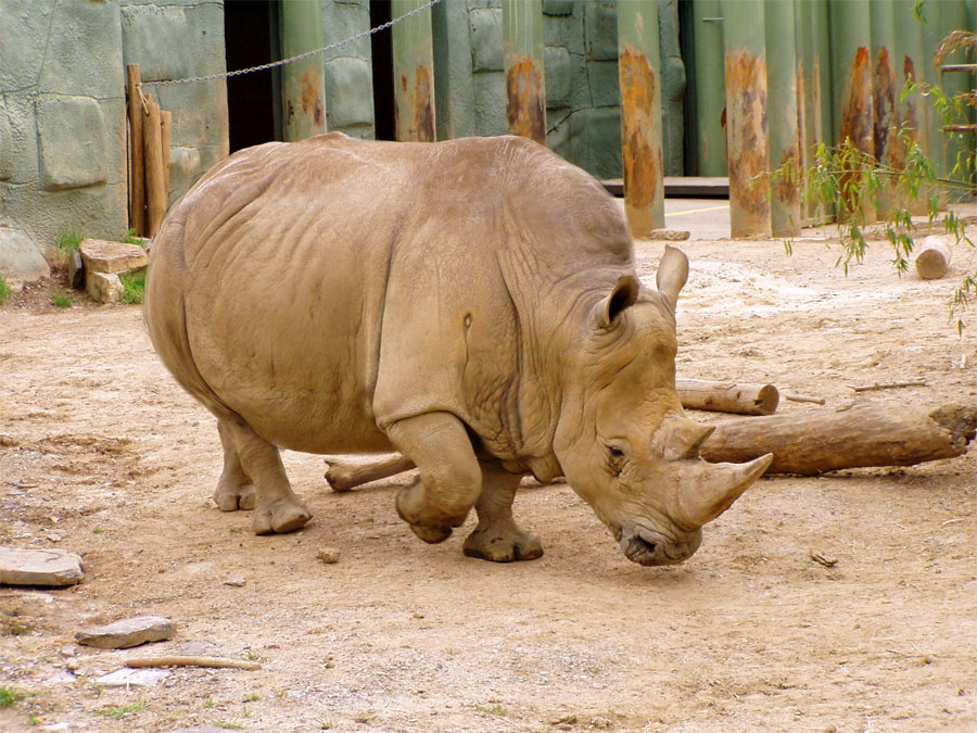 Diseño de Photoshop por mattbyng para DesignCrowd (Community Contests) | Diseño #9044827