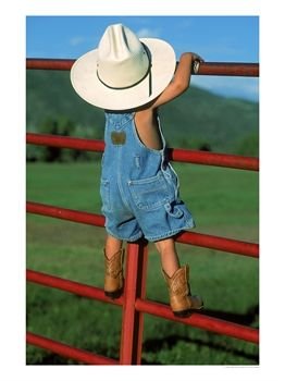 Photography by sweetwhisper for DesignCrowd (Community Contests) | Design #9048557