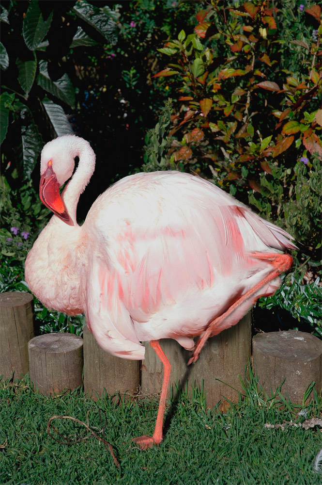 Photoshop-Design von ayoksus für DesignCrowd (Community Contests) | Design #9044852