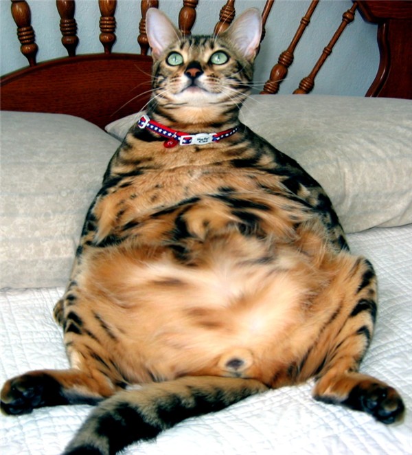 Photoshop Design by quin10 for DesignCrowd (Community Contests) | Design #9044890