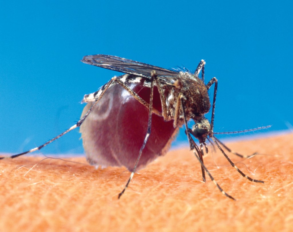 Photoshop-Design von DoctorTweek für DesignCrowd (Community Contests) | Design #9044938