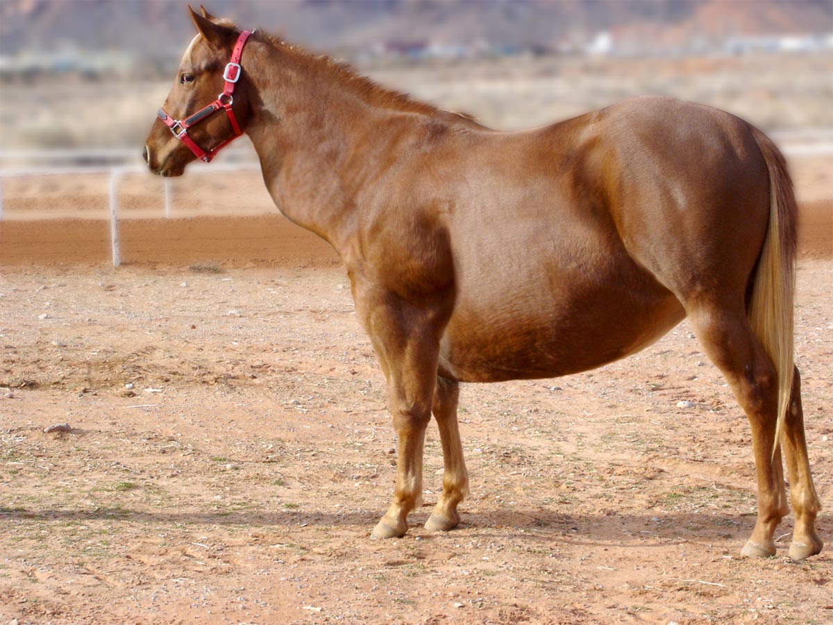 Photoshop Design by lais98 for DesignCrowd (Community Contests) | Design #9044920