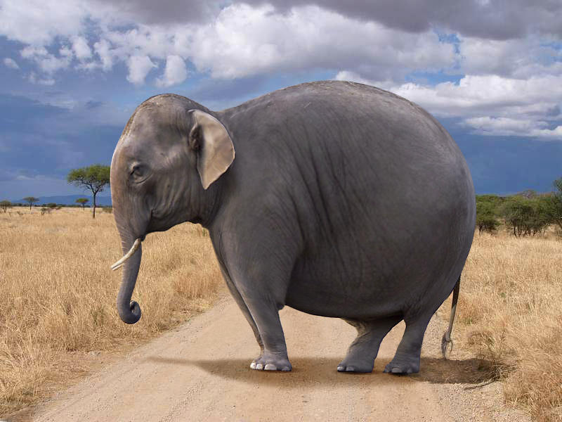 Photoshop Design by mlolsen for DesignCrowd (Community Contests) | Design #9044953