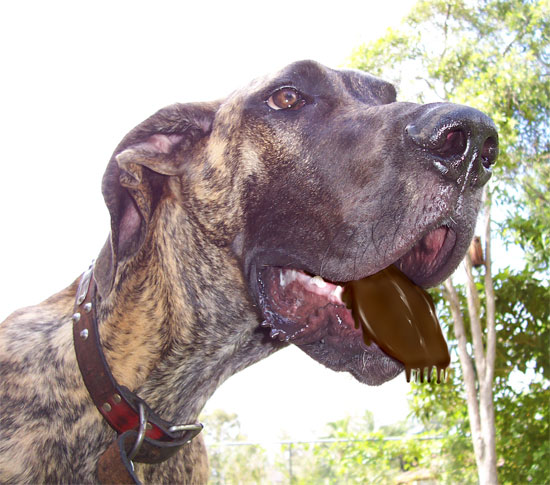 Diseño de Photoshop por mattbyng para DesignCrowd (Community Contests) | Diseño #9042359