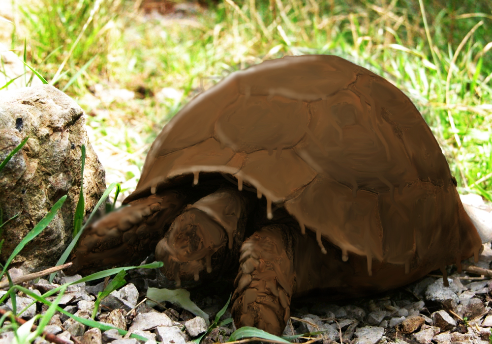 Photoshop Design by thatguyice for DesignCrowd (Community Contests) | Design #9042398