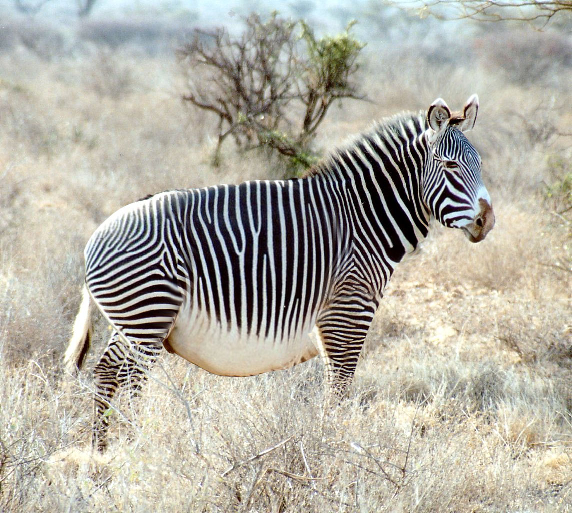 Photoshop-Design von h2oscienceguy081 für DesignCrowd (Community Contests) | Design #9044922