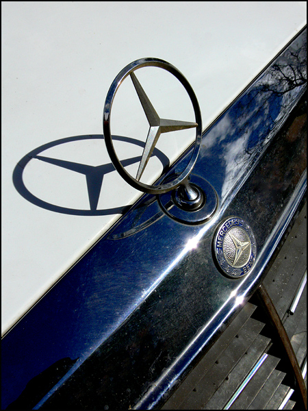 Photography by droomluiperd for DesignCrowd (Community Contests) | Design #9045693