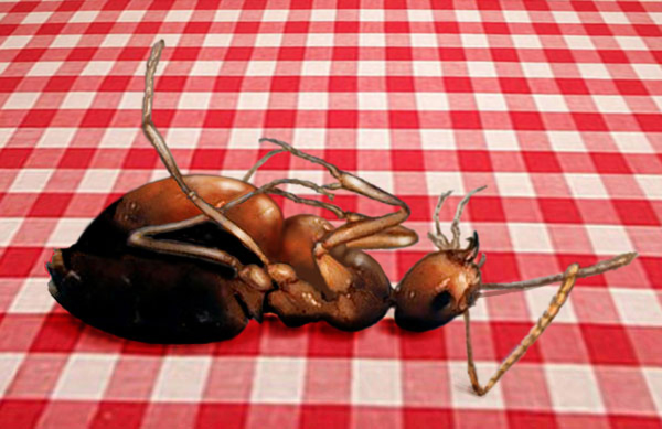 Design Photoshop par lindon pour DesignCrowd (Community Contests) | Design #9044950